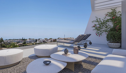 Rectangle 3 (Custom)